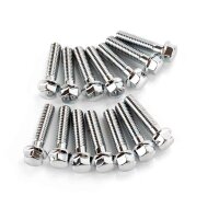 Screw Set for right Engine Cover for Model:  