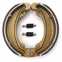 Brake shoes with springs for Model:  