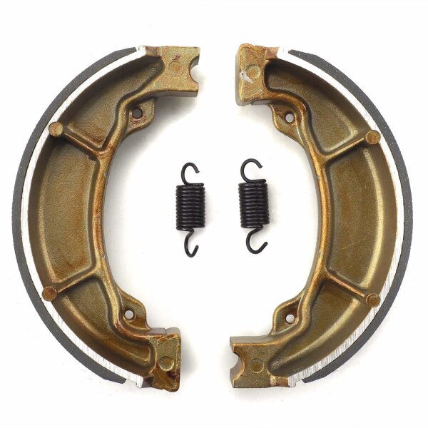 Brake shoes with springs