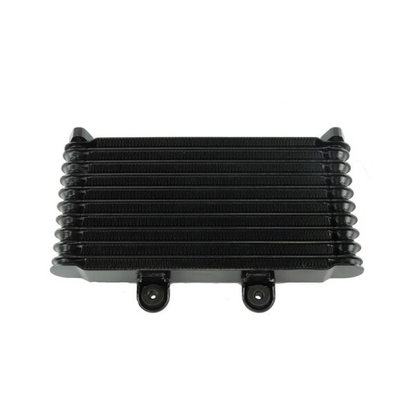 Oil Cooler Radiator for Suzuki GSF 600 Bandit GN77B 1998