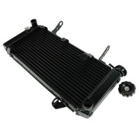 Water  Cooling for Model:  Suzuki SV 1000 BX 2003-2005